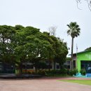 함덕초등학교선흘분교 이미지