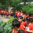 연성어린이집 이미지