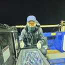 현대자동차사직점 이미지