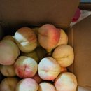 이종백농장 이미지