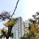 수지한국 공인중개사사무소 이미지