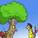 열두바구니 이미지