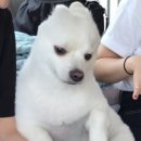 자연숯불갈비 이미지