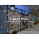 원심매점 | [부산] 명지 2시간 순삭 키즈카페, 놀거리 가득 '아쿠아플레이하우스' #내돈내산