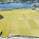 풍년농자재 이미지