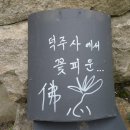 국립공원월악산(2), 덕주계곡 풍경 이미지