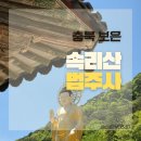 속리산 법주사 | 속리산법주사 주차 이용시간 아이들과함께 소요시간 충북 보은
