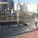 코코바니살롱 네이버블로그