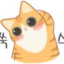 아이디썸 이미지