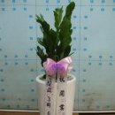 구룡약국 이미지