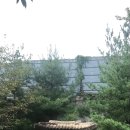 정열부 네이버블로그