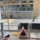 쁘띠아키 이미지