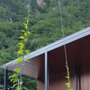 묵산농장 이미지