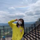 올리비아콩콩