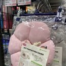 야옹아멍멍해봐 용인보정점 이미지