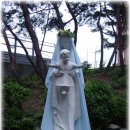 여주-0363 이미지