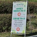 대한 | 전남 보성 다향대축제 대한다원 말차 먹거리 후기