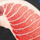 남해물회수산회 이미지