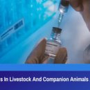 가축 및 반려 동물의 mRNA 백신이 지금 여기 있습니다 이미지
