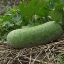 동아한의원 이미지