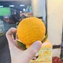 서울도매유통 - 동작구 동작대로29길 18 | 서울도매유통