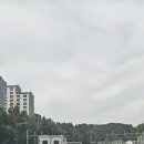 강화도 석모도 가는길. 교통체증 영상 이미지
