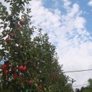 희명농장 이미지