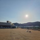 하이멍 애견카페 네이버블로그