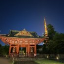 미아팜약국 | 6월 도쿄 여행 2일차 2 (빈티지 스포츠 시부야, 미야시타 파크, 칼디 퀸아망, 부타 다이가쿠, 차지스팟,