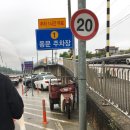 대성튀김 | 강릉 중앙시장 오징어순대, 육전 맛집 두리튀김 포장 후기