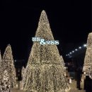 오동동177 이미지