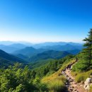 [100대 명산] 충북 제천의 보석, 금수산 등산 완벽 가이드