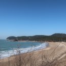 의항해수욕장 입구 이미지