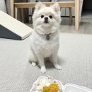 쏘스윗공방 이미지