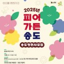 피어27