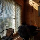 제주편백휴낭 이미지