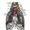 연세길한의원 이미지