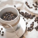 바리스타 2급 자격과정(오후) 이미지