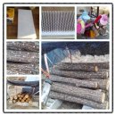 엄정농약백화점 이미지