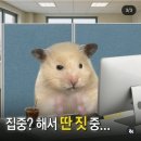 피자먹다효창공원역점 | (0911-0930)