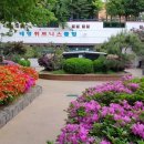 태영헬스클럽 이미지