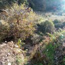 동구농장 이미지