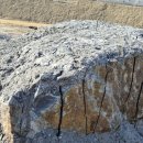 세종약품 주식회사 이미지