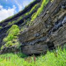 제주수월이 이미지