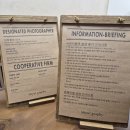 워킹앤워킹 애견유치원&애견호텔 | [W3]대구 웨딩 애견동반 촬영 스튜디오 워킹견적 : 미율그라피, 베누아 스튜디오, 아뜰리에엘스