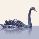 블랙스완 - 부천시 원미구 신흥로 170-1 | 블랙스완