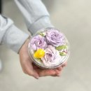 엘에이치양원1단지경로당 | [공지] 앙금플라워 출강, 출강아이템추천, 클래스추천, 기업출강추천