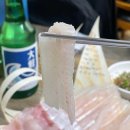 국도4호선 | 부산 자연산회 블루리본 맛집 새총횟집 / 고급어종, 줄가자미(이시가리) 후기