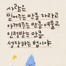 양이네 이미지