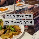 칭따오숯불양꼬치 | 안산역 신길동 양꼬치 맛집 칭다오마라탕양꼬치｜숯불 양꼬치·지삼선·꿔바로우 내돈내산 솔직후기